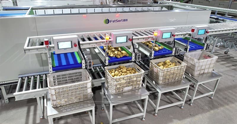 images/1654847775830potato processing machinery.jpg